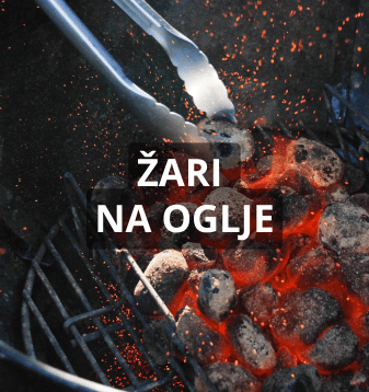 ŽARI NA OGLJE
